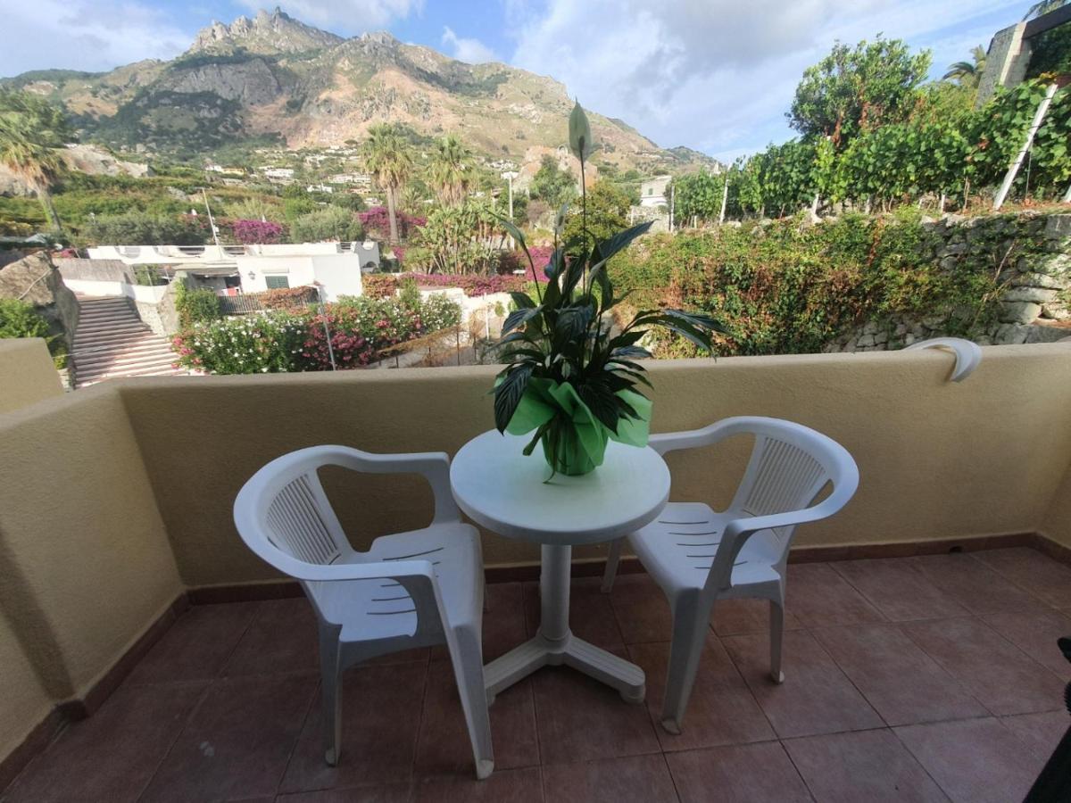 Relais Villa Agave Forio di Ischia Dış mekan fotoğraf